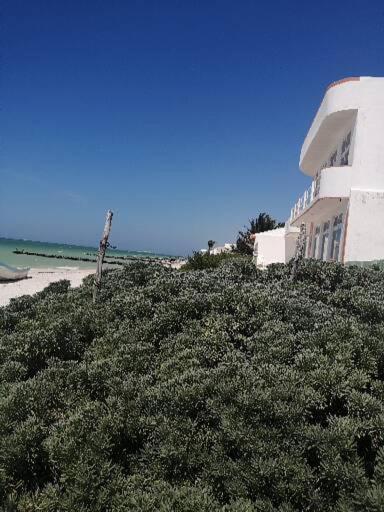 Apartamento 4 El Paraiso De Capitan Fernando Apartman Chelem Kültér fotó